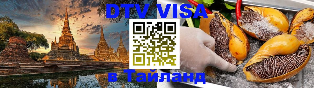 Сколько стоит DTV виза — актуальные цены, оформление даже без документов - Челябинск  19.11.2025 